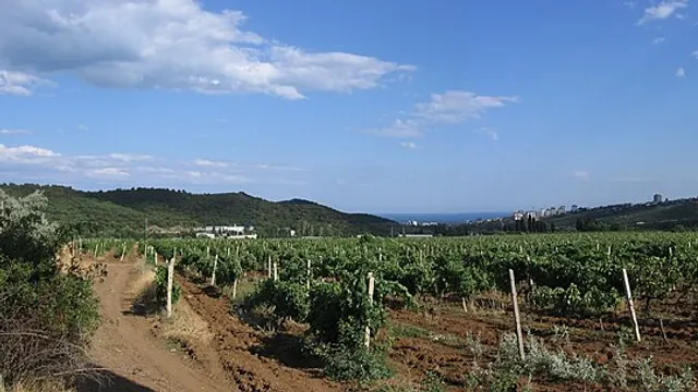 Ялта — Алушта